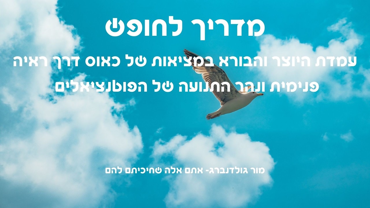 מדריך לחופש - עמדת היוצר והבורא במציאות של כאוס דרך ראיה פנימית ונהר התנועה של הפוטנציאלים