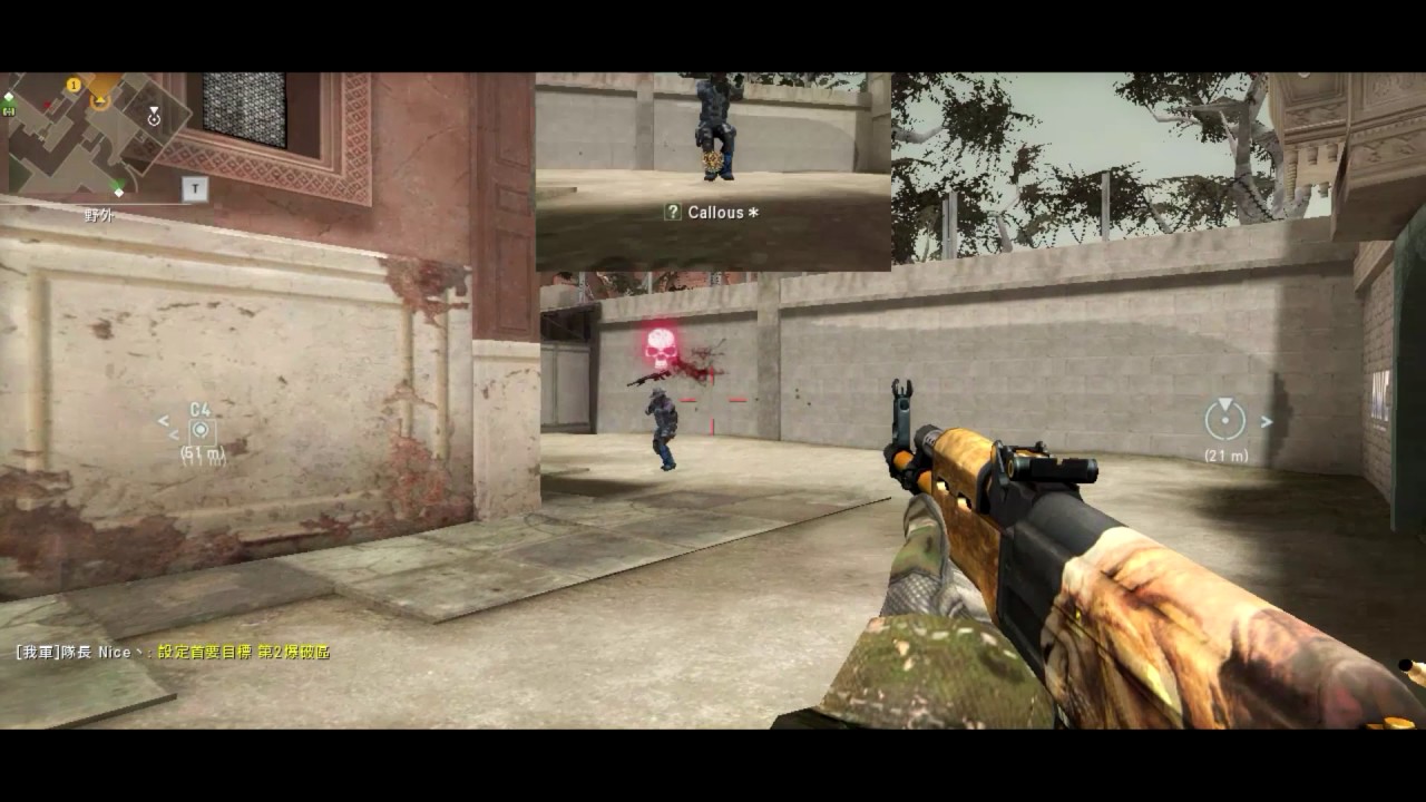 AVA AK47 Lion Montage #2 by L1Mio
