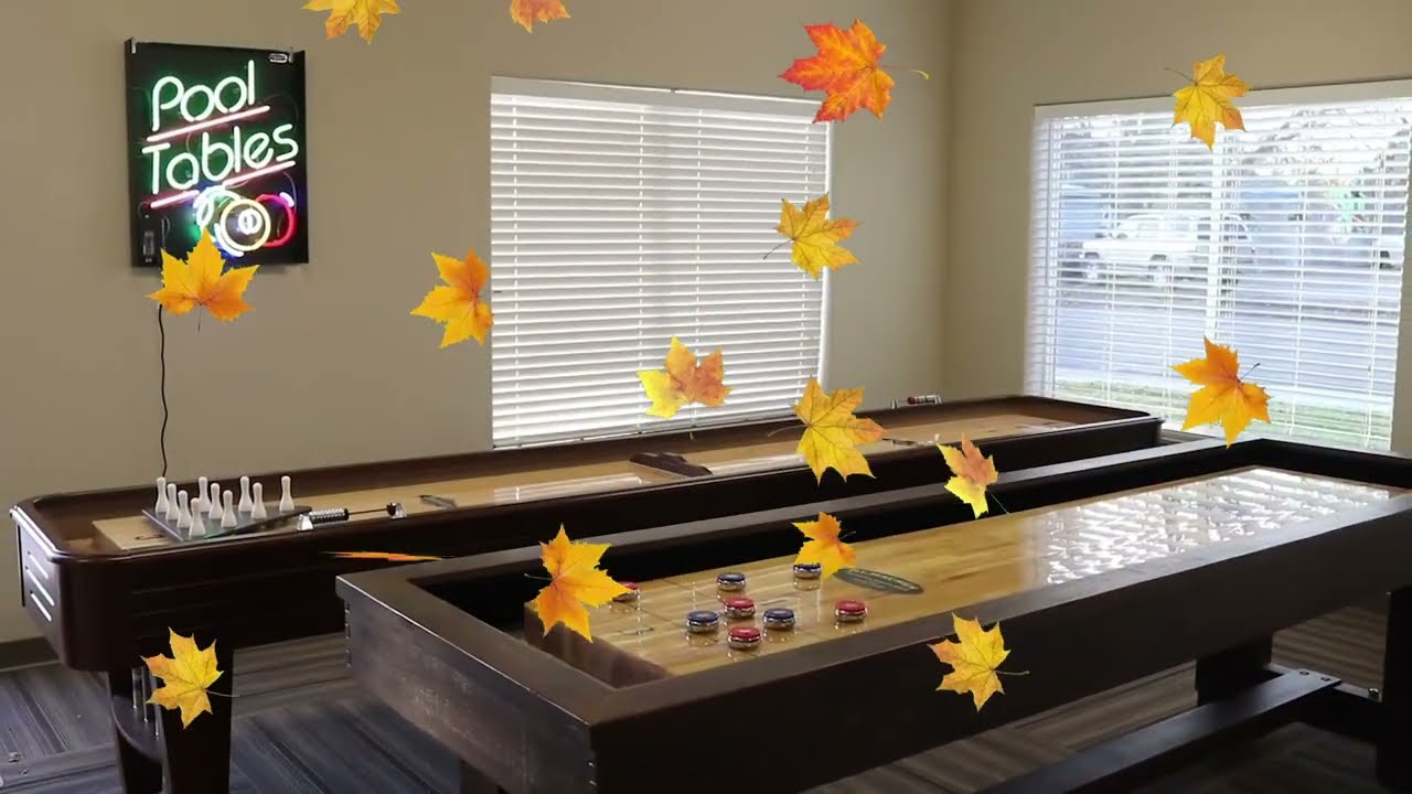Snake River Pool and Spa   Fall into Savings Billiard Sale