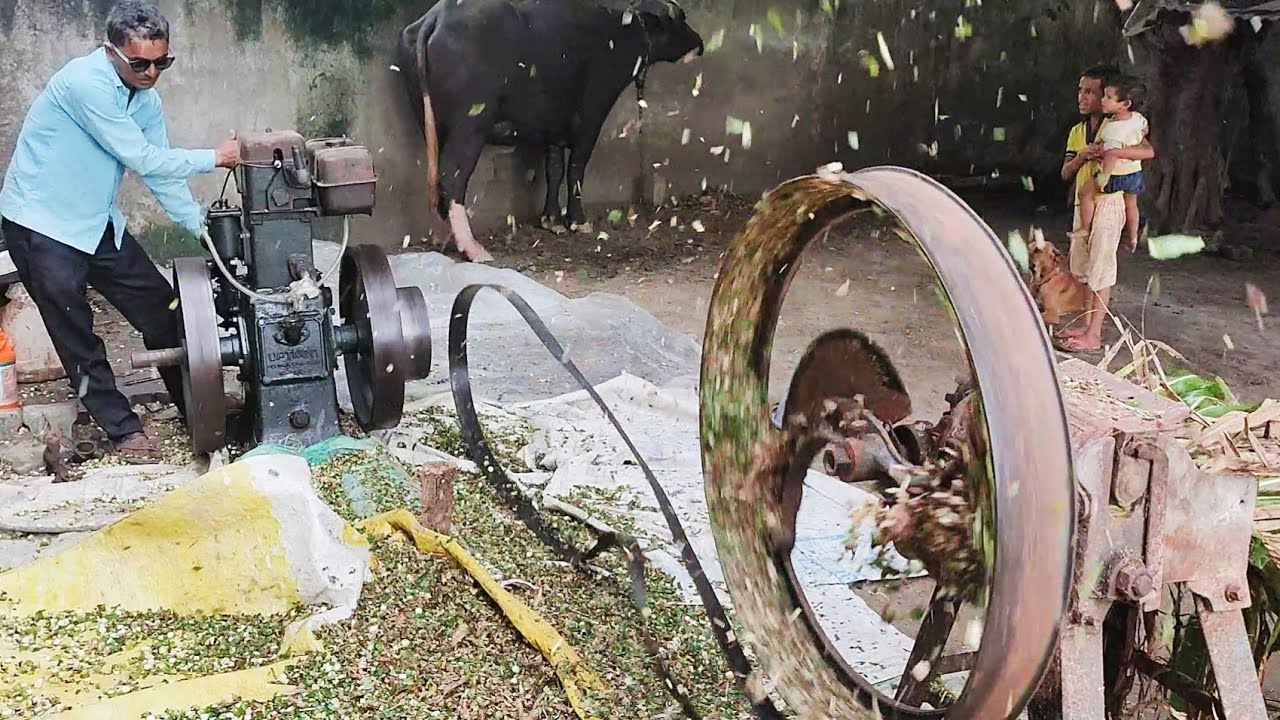किसान का बेहतरीन जुगाड़ 12 HP Lister Diesel engine machine se Chara Katne Ka setup ||