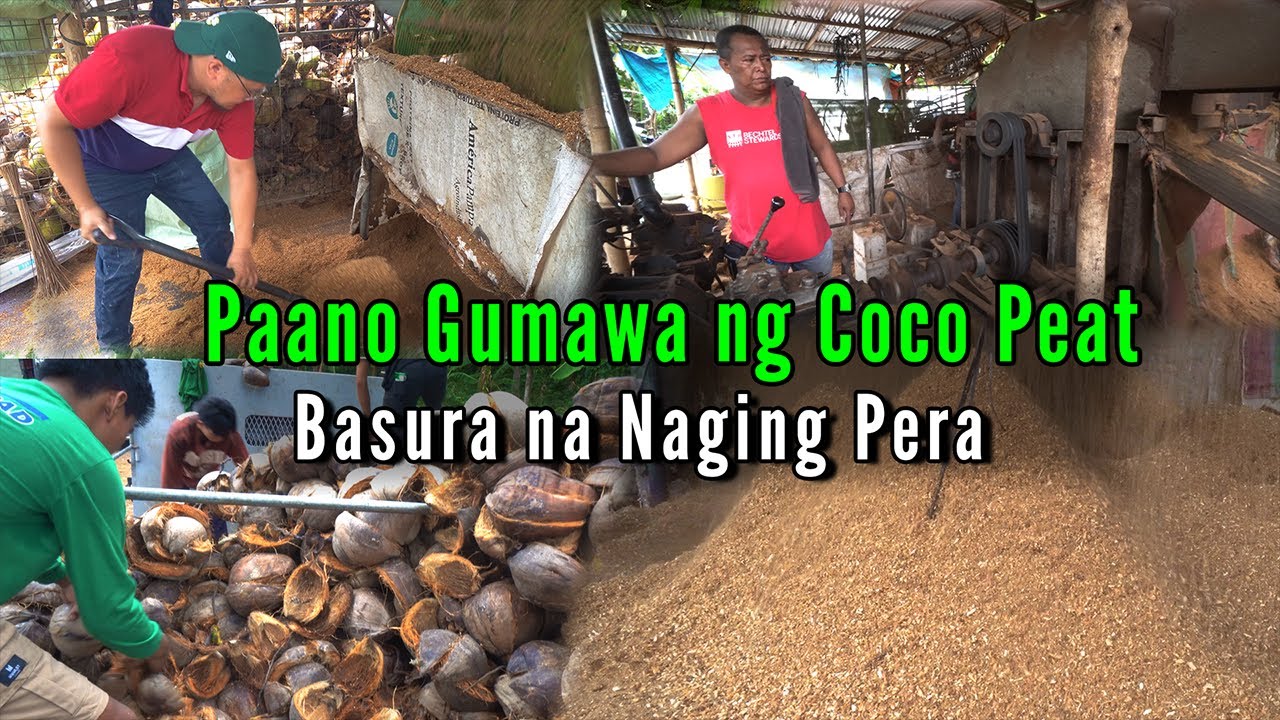 Coco Peat Production - Basura na Naging Pera - Negosyong Nakapag Paunlad