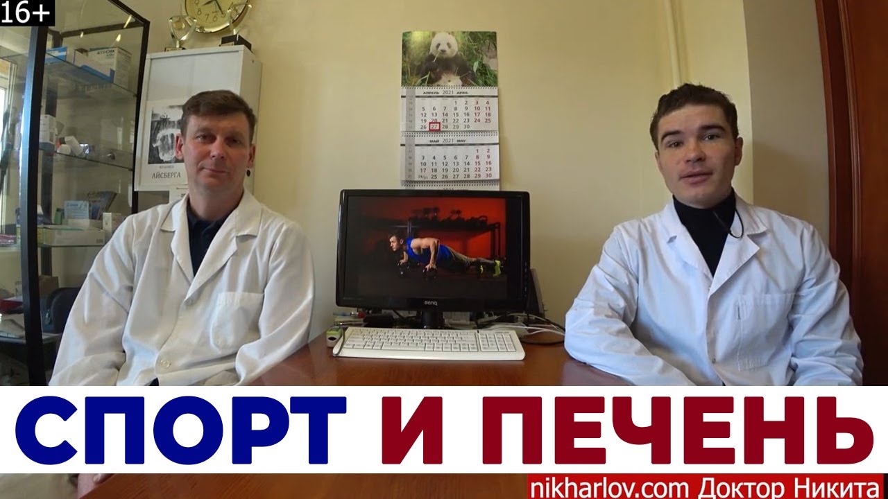 Поддержка печени и желчевыводящих путей при занятиях спортом. Болит печень во время тренировок.
