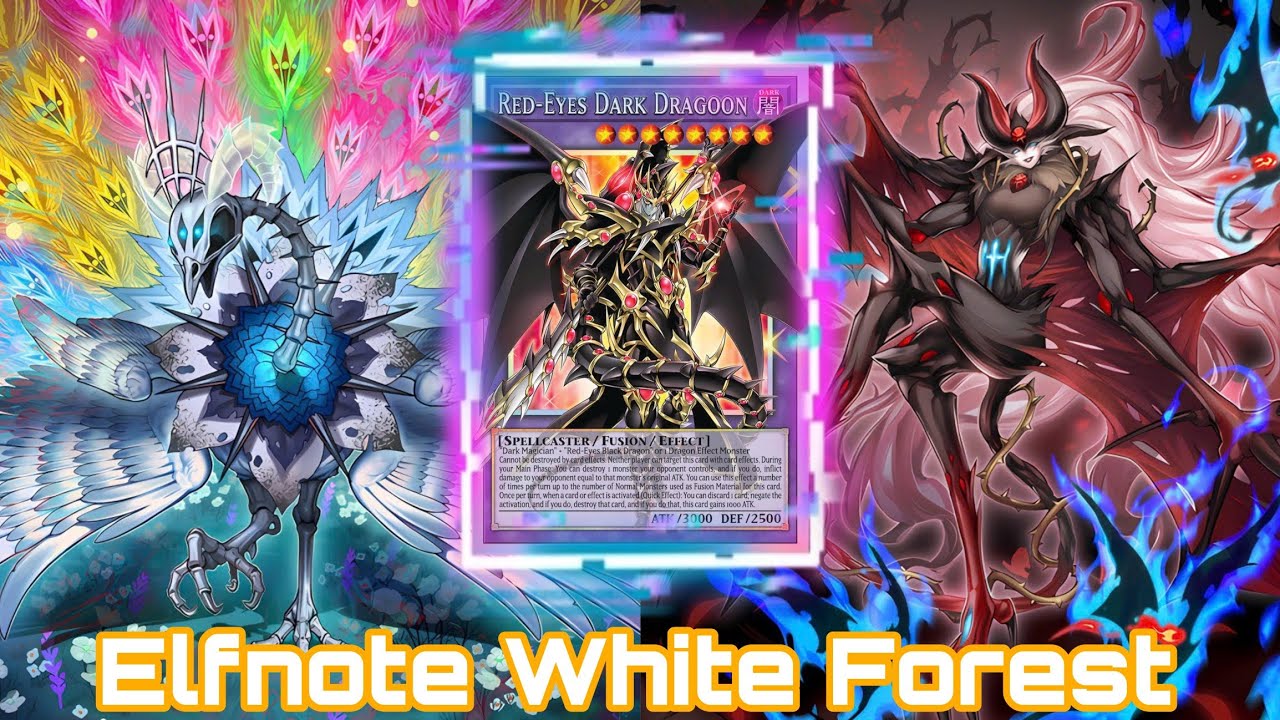 [Master Duel] ELFNOTE WHITE FOREST in Dice Rally May 2026 | Part 1