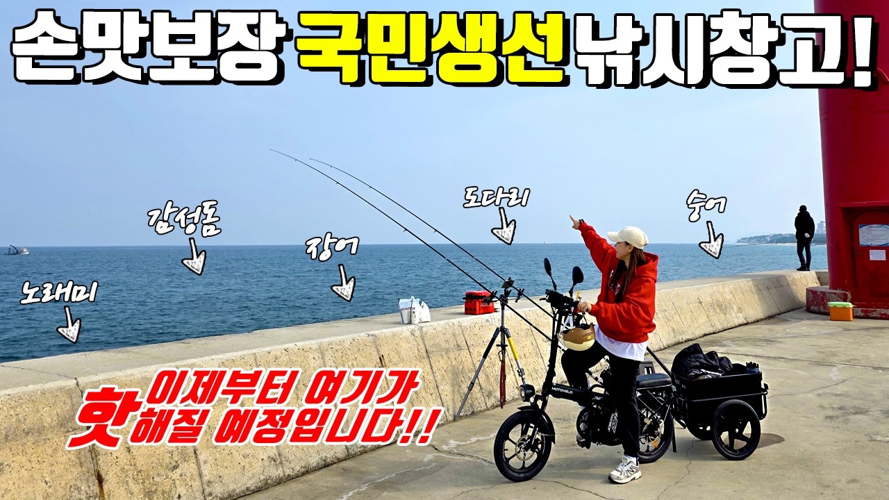 낚시하기 좋은 꽝이없는 방파제 포인트! 던지는족족 1타1피 손맛가능! 가족낚시 추천장소!
