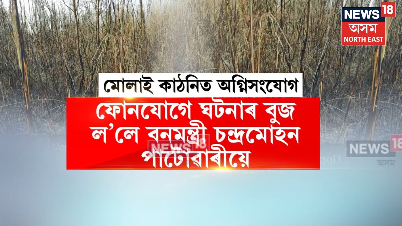 Jadav Payeng : যাদৱ পায়েঙৰ মোলাই কাঠনিত দুস্কৃতিকাৰীৰ অগ্নিসংযোগ | N18V