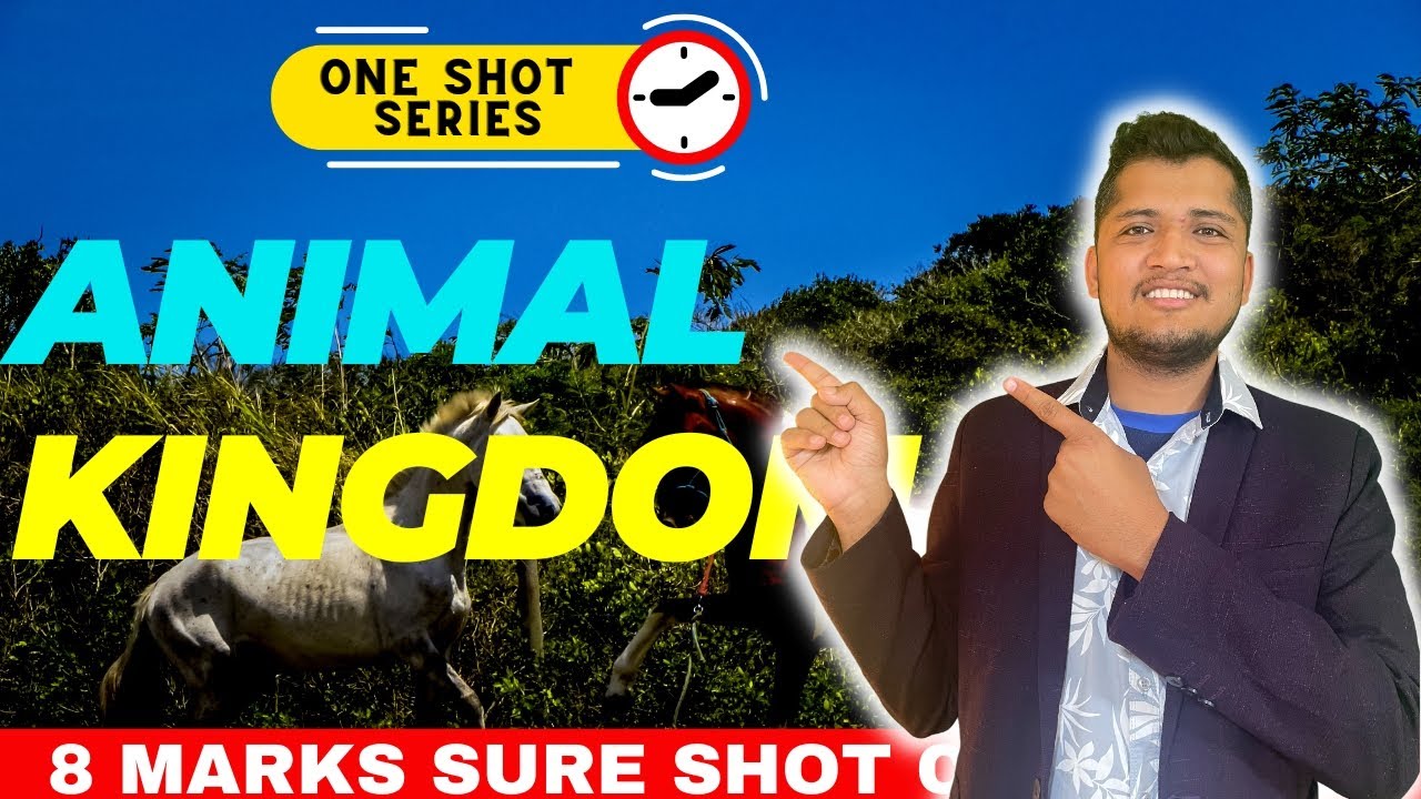 Animal Kingdom 14 MARKS In One Shot 🔥Final Hour Revision For CEE / NEB 🚀