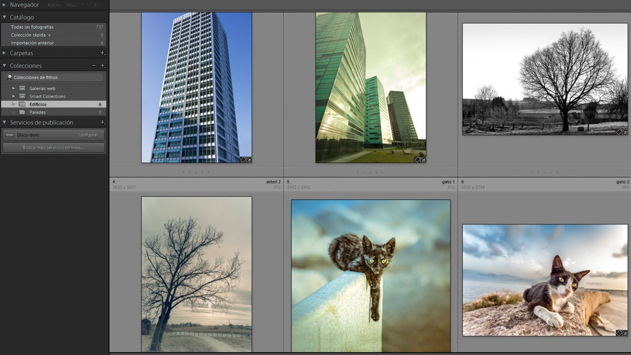 Qué son las colecciones en Lightroom