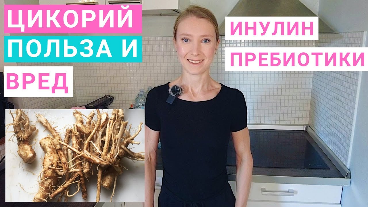 Цикорий: польза и вред для здоровья. Напиток из корня цикория. Растворимый, сублимированный цикорий.