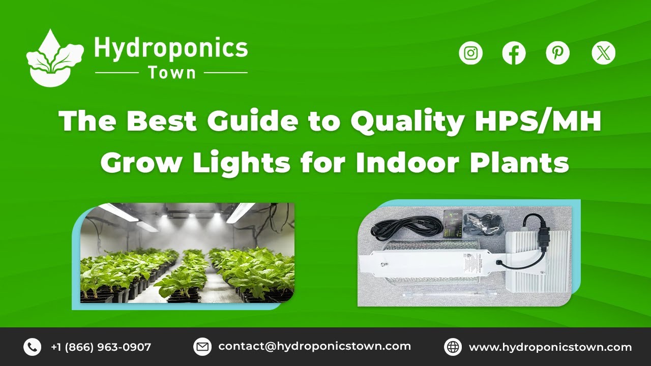The Best Guide to Quality HPS/MH Grow Lights for Indoor Plants -Hydroponics Town
