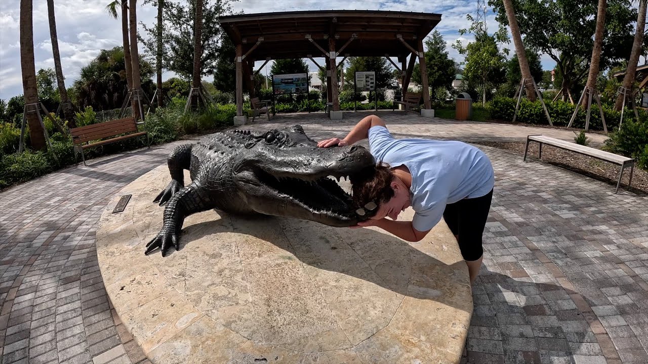 Manatees, Gators and Crocs - Oh My!  The Everglades National Park