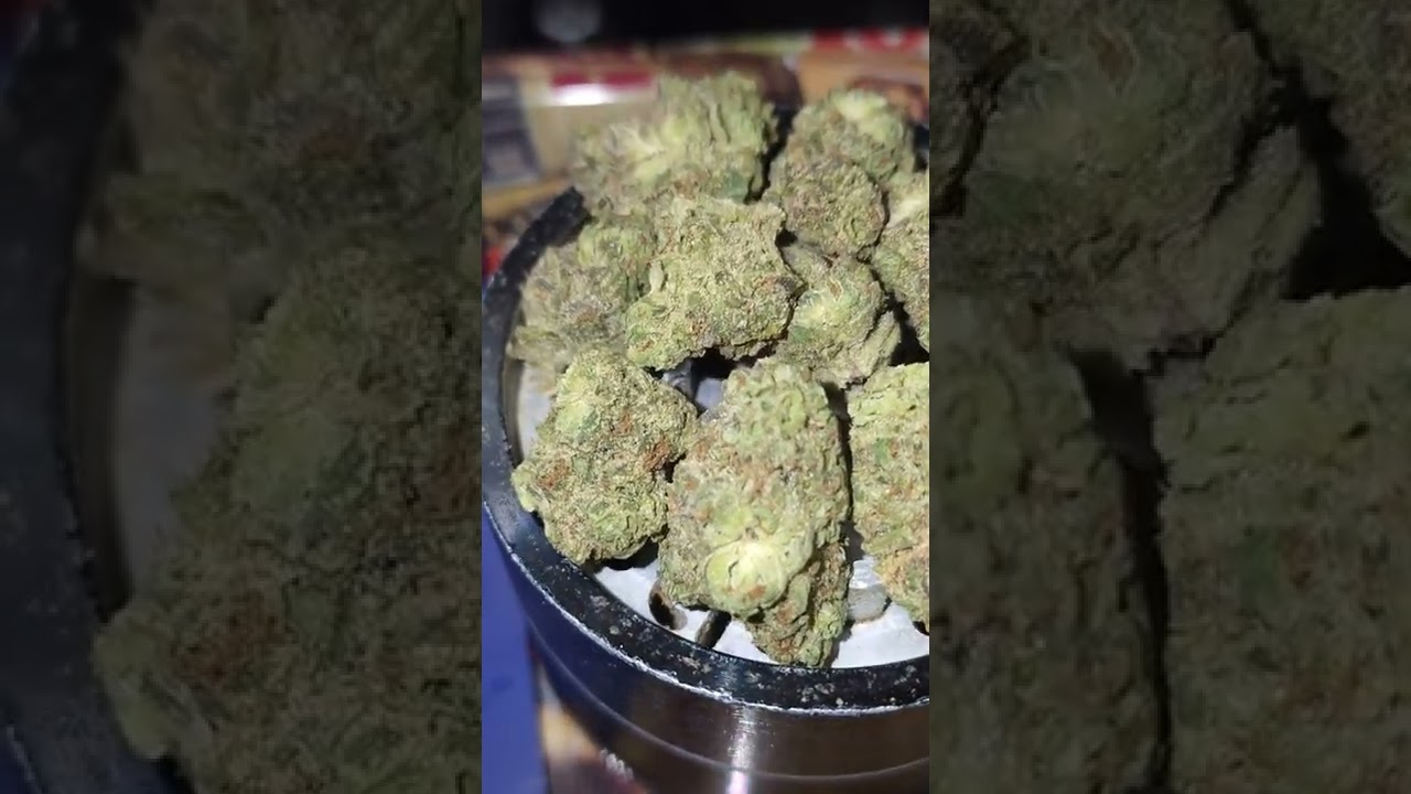 Cloud Cover Cannabis - Old Dirty Biker