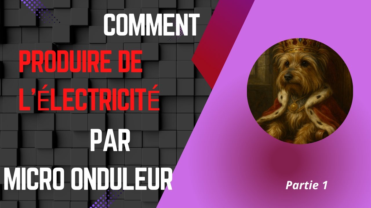Comment produire de l'électricité par micro onduleur