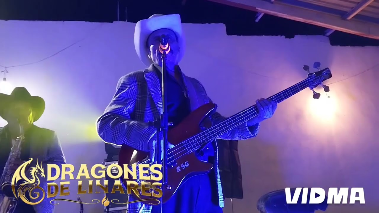la vaquilla corajuda