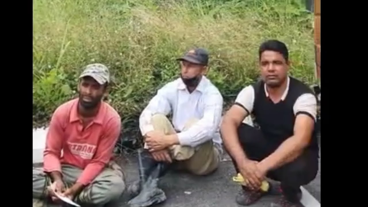 BERSEPAH WARGA ASING BAWA LORI