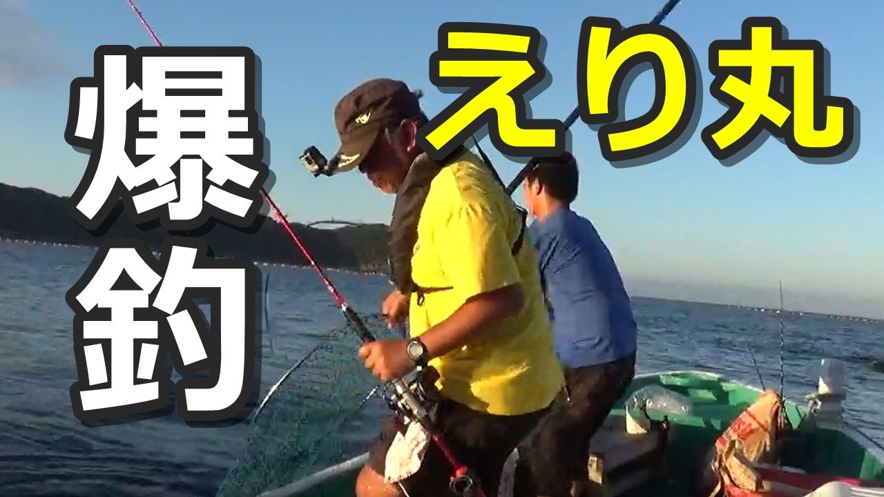 爆釣！須江・えり丸フィッシングのブリ、メジロ（前編）