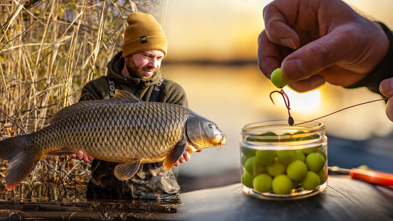 INSTANT Karpfenangeln im Winter | Damit hätten wir nicht gerechnet 😱