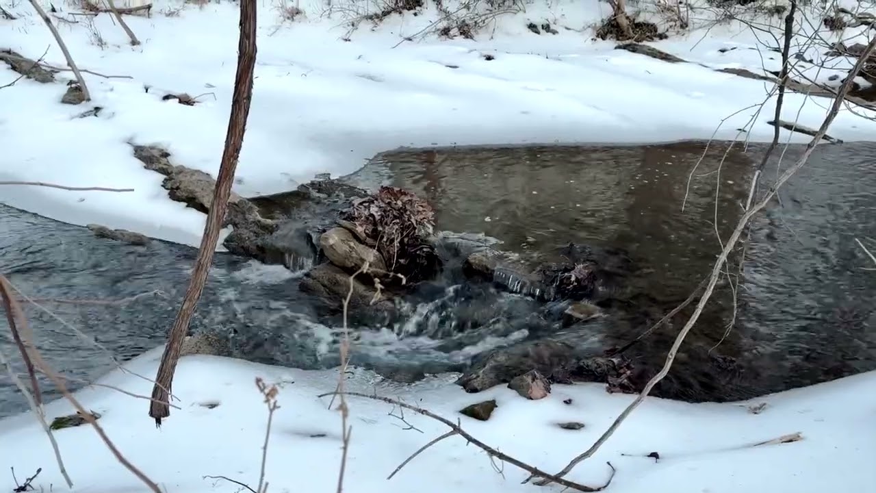 New stormwater project seeks to improve health of Woods Creek
