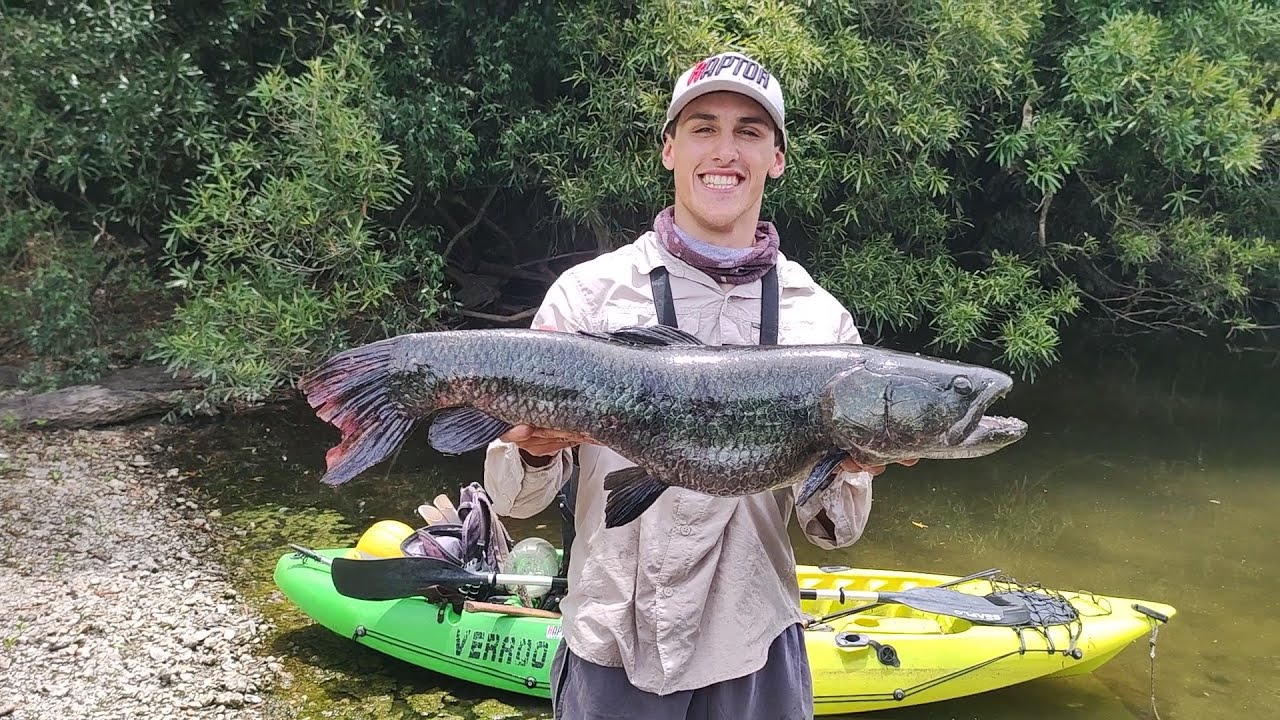 TARARIRA TORNASOL DE 5kg en kayak!🎣♻🙌