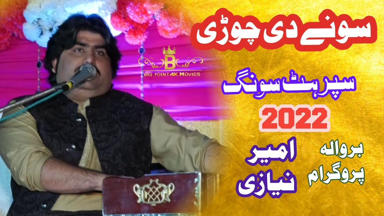 Sonay Di Chori | Ameer Niazi | Latest Saraiki Hit Song | Big Point Official