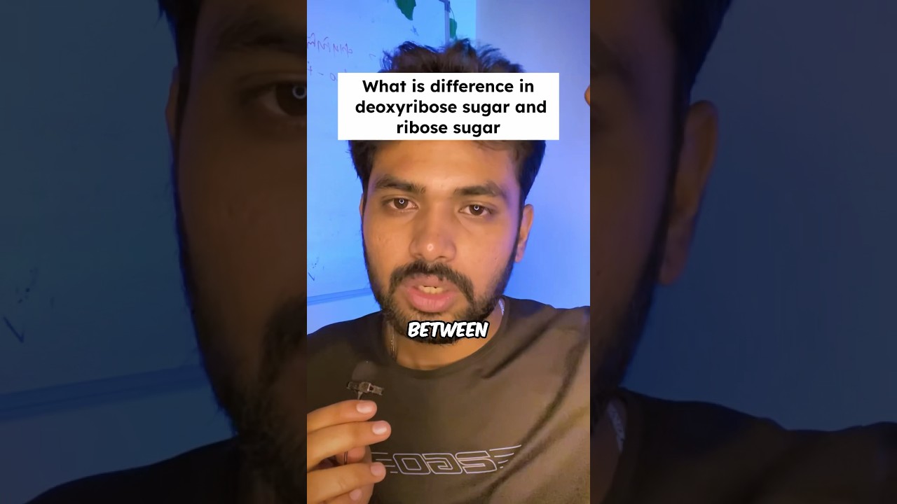 Genetics Most Repeated Questions| Molecular Basis of inheritance🧬| Class 12th | NEET 2024