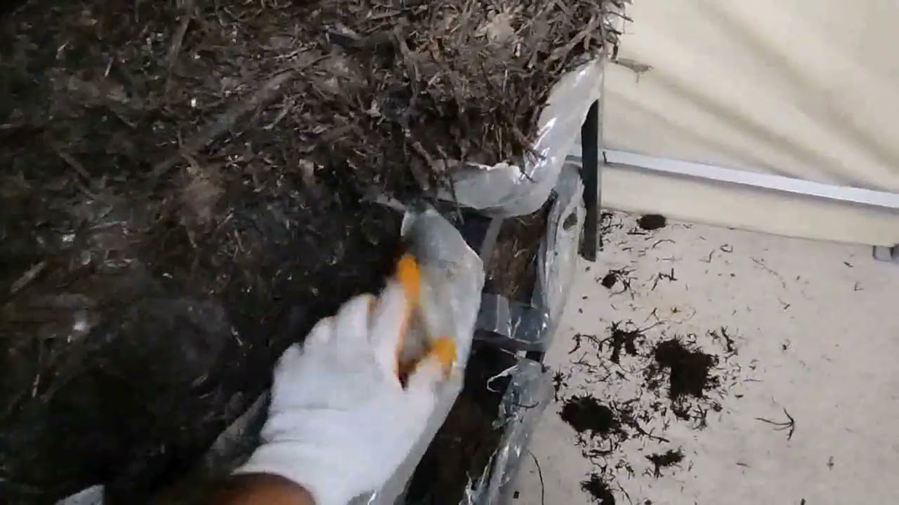 Tiftikleme ve Baskı işlemleri (10. Gün) 