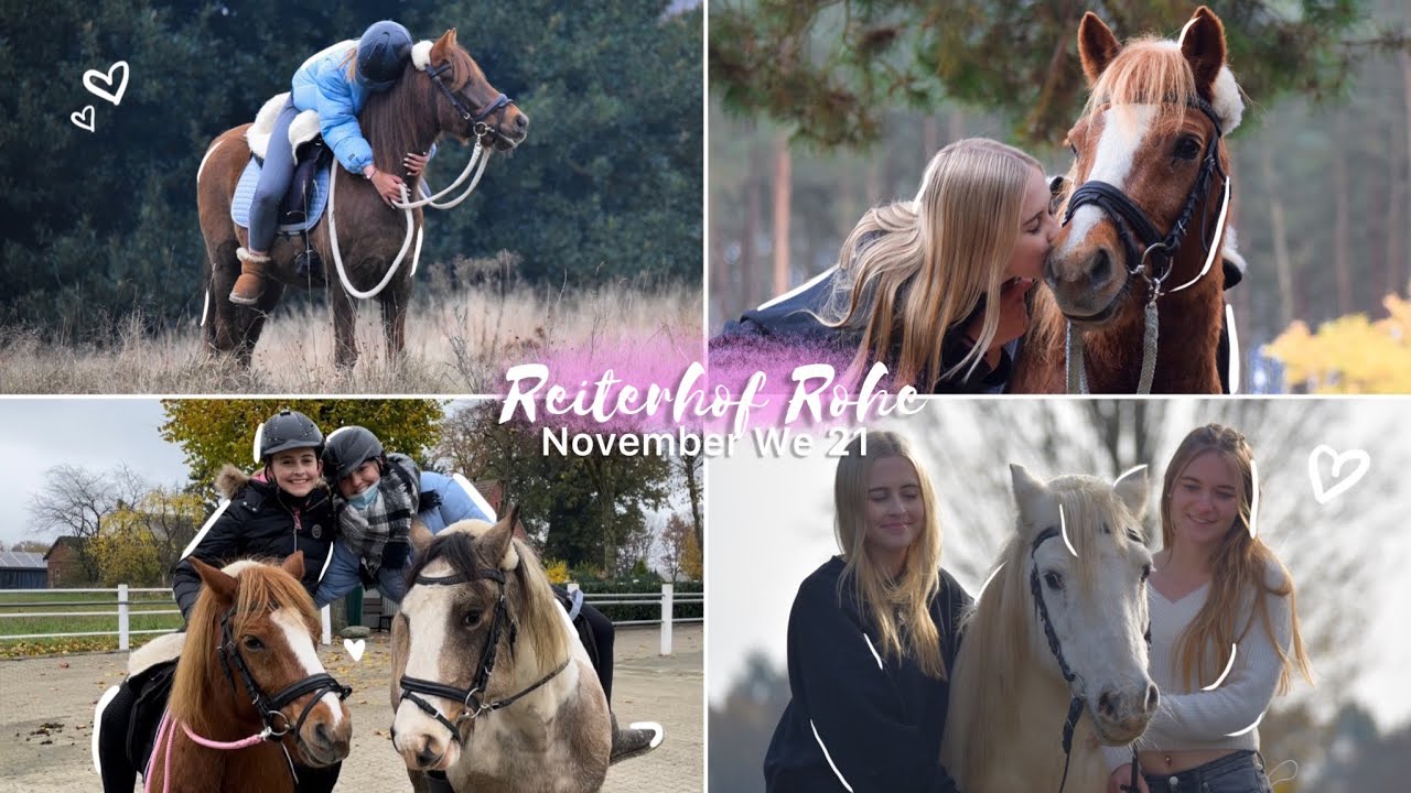 Reiterhof Rohe November We 2021