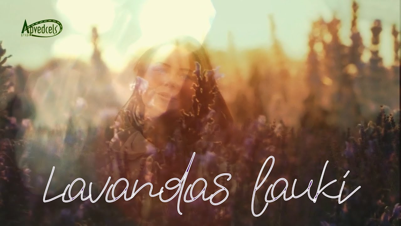 APVEDCEĻŠ  - LAVANDAS LAUKI