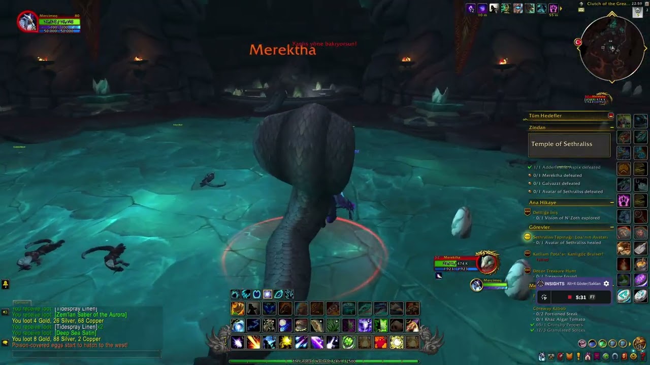 World of Warcraft Temple Of Sethraliss solo