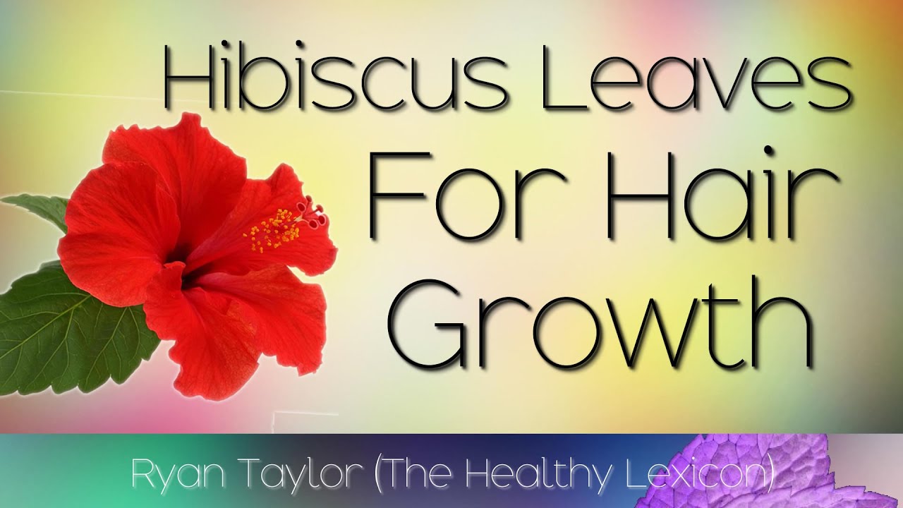 Hibiscus Leaves: for Hair Growth