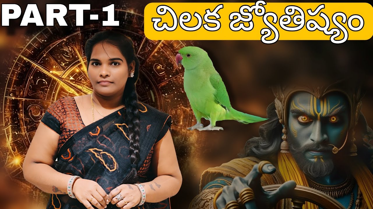 చిలుక జ్యోతిష్యం నిజమా? చిలుక ఎలా జాతకం చెప్తుంది | అసలు రహస్యం Part-1 Aisha Life Style 🦜 Astrology 