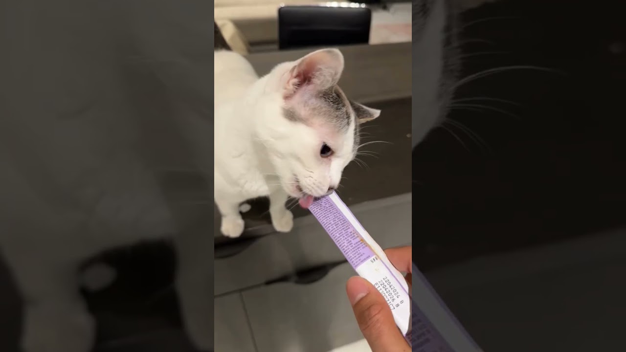 essa gata é muito doida mds