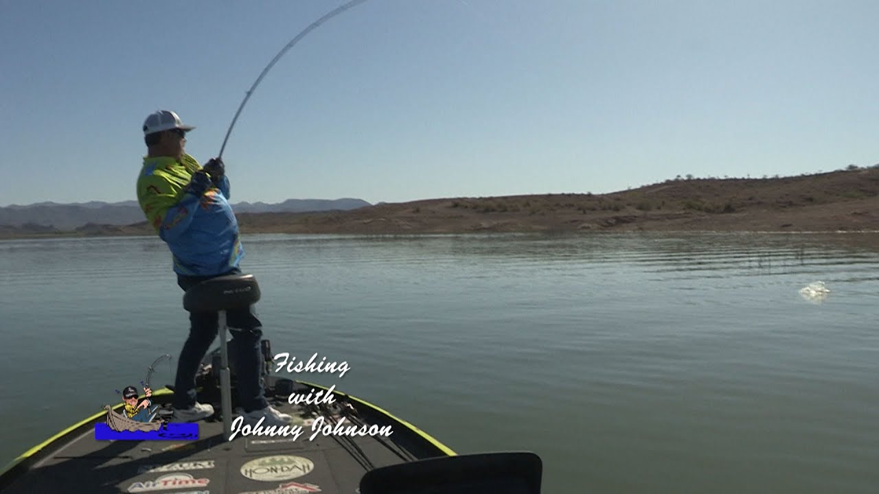 Alamo Lake, AZ - Post-Spawn Spinnerbait