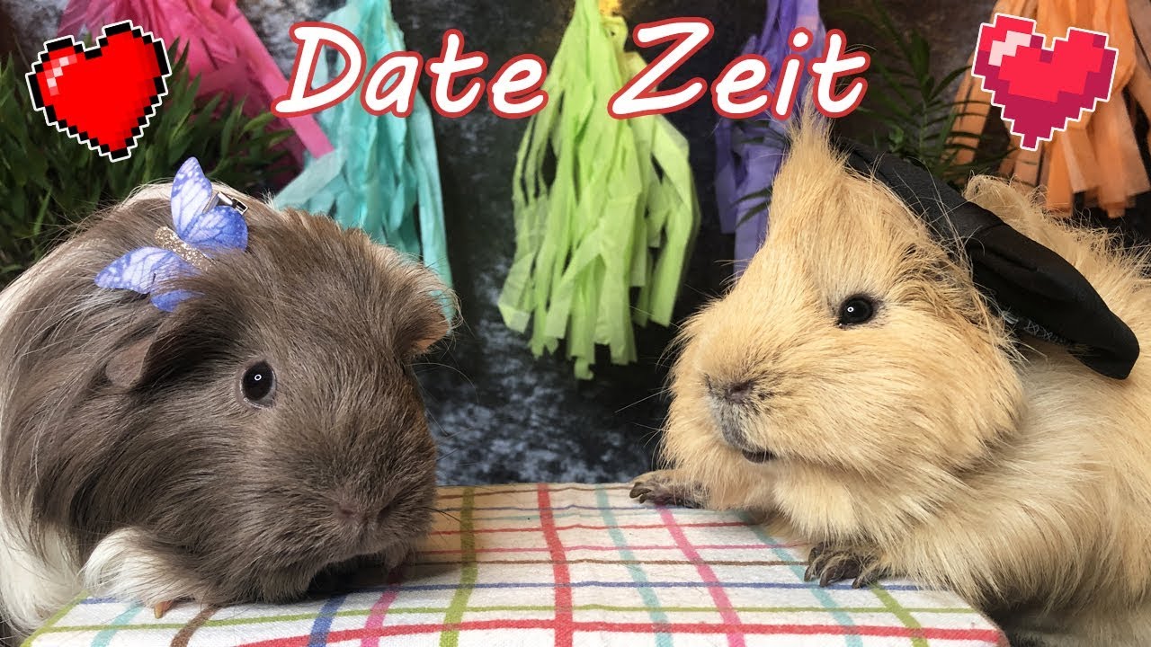 Schlimmstes Date aller Zeiten | Die Meeries