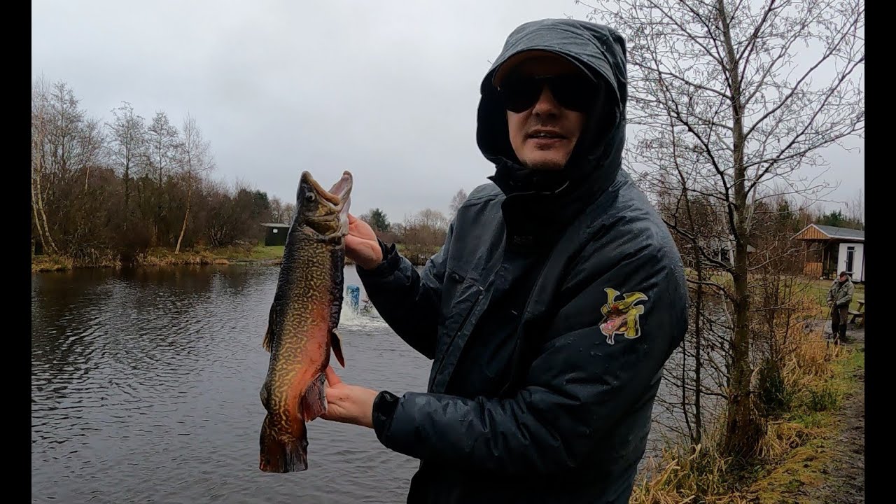 Tusaagaard i regnvejr efter Special ørreder