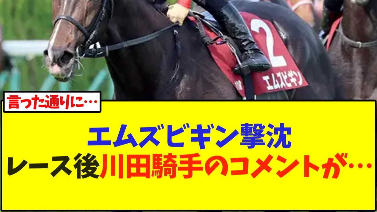 【京都新聞杯】エムズビギン撃沈&hellip;レース後川田騎手のコメントが&hellip;【競馬】