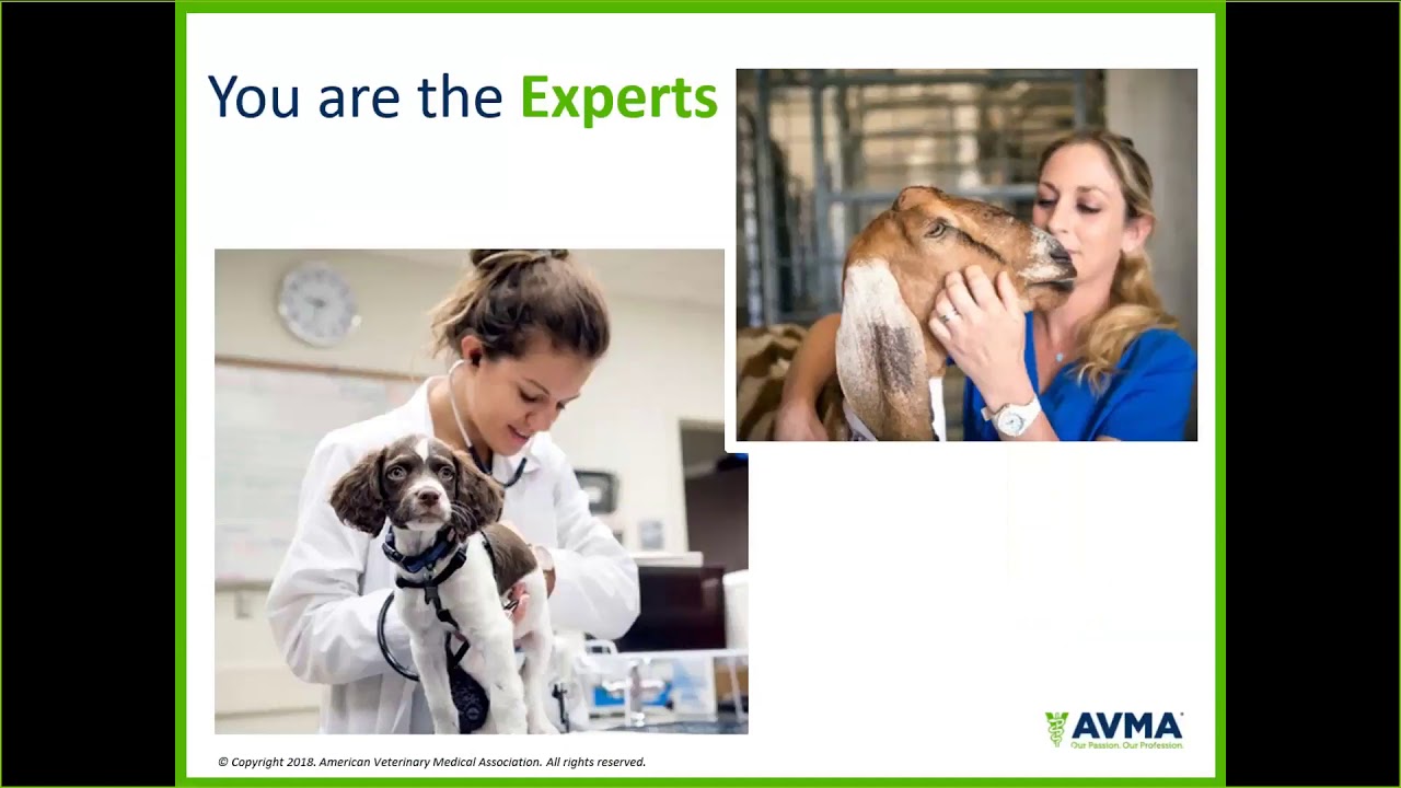 AVMA Update