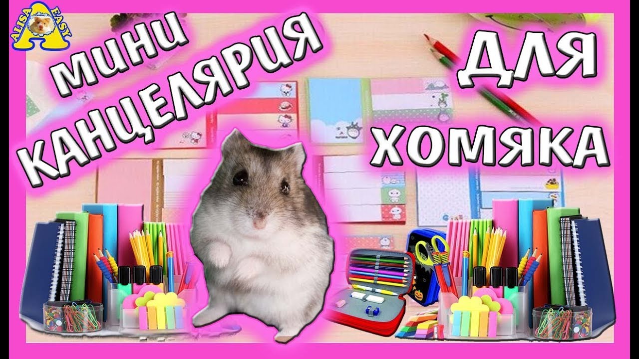 ХОМО - BACK TO SCHOOL / бек ту скул 2019 / канцелярия от хомки / Семья хомяков  / от Alisa Easy Pets