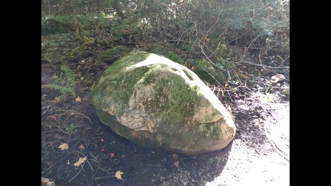 Scanlon Creek Conservation Area October 2022