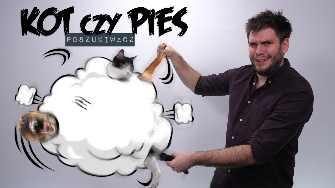 PIES CZY KOT? | Poszukiwacz #460