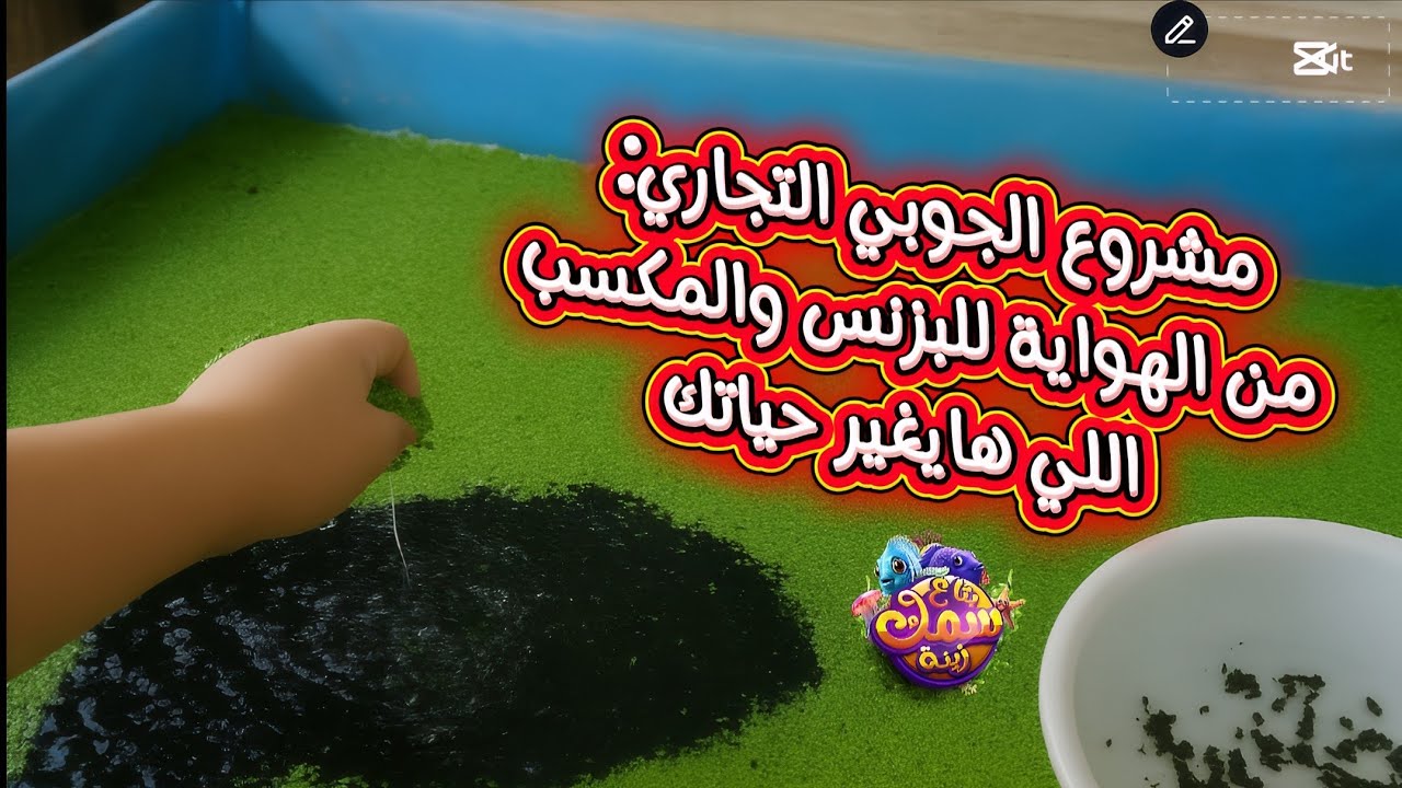 ازاي حولت سطح بيتي لمشروع مربح بدخل ثابت وبتكلفة بسيطه جدا..!
