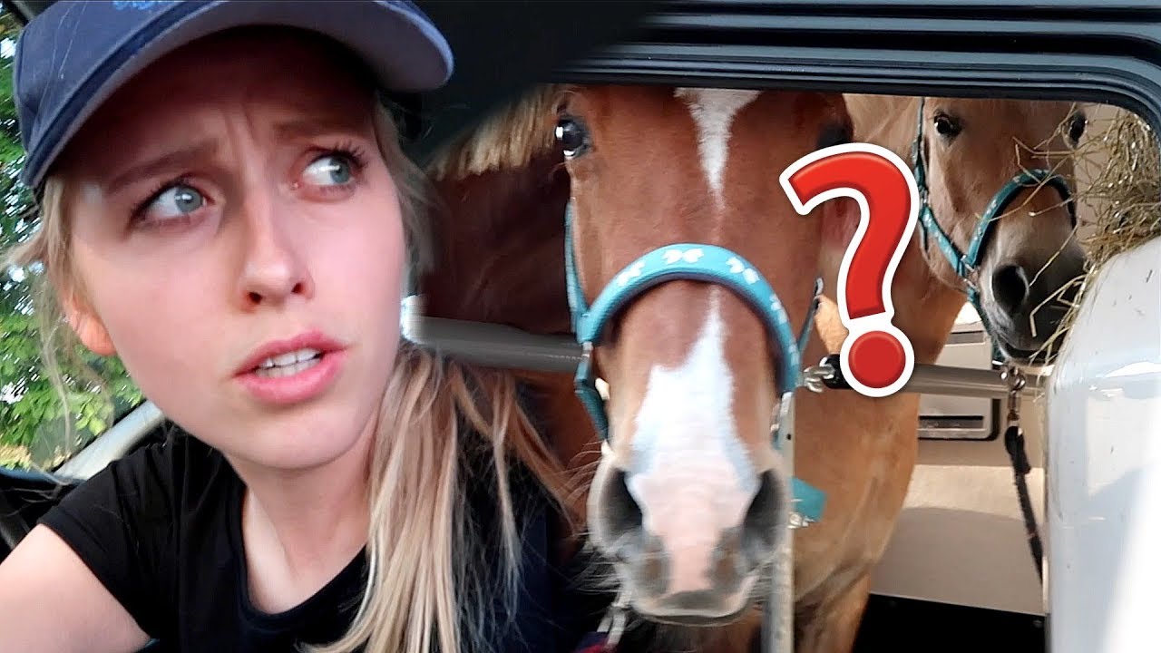 HELP! Noura BIJT Moos tijdens reis naar Go Social Party! | Vlog #163