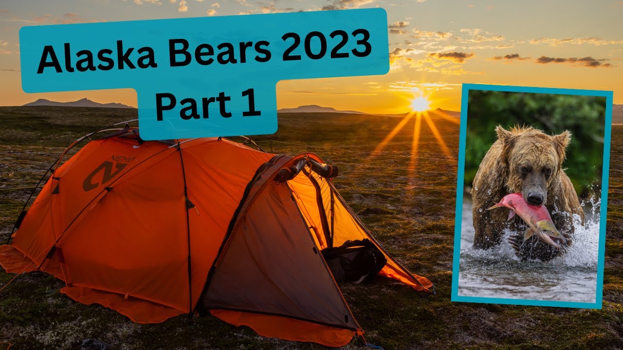 Photographing Alaskan Brown Bears Part 1. Fishing bears, moms with cubs a Red Fox and so much more!
