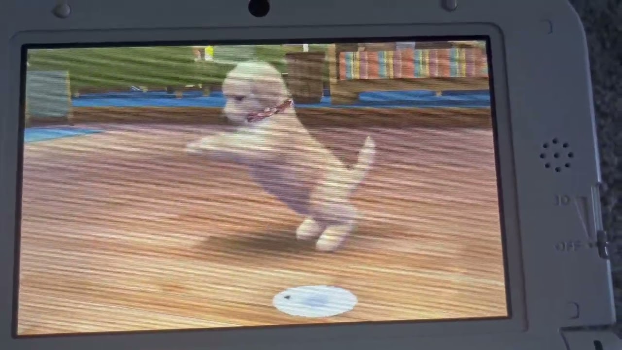 Nintendogs + Cats Golden Retriever Version Day 2 Part 1 (No Commentary) Play through