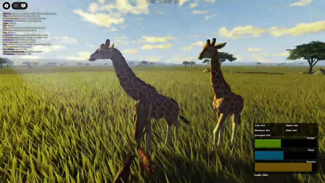 Wild Savanna Adventures
