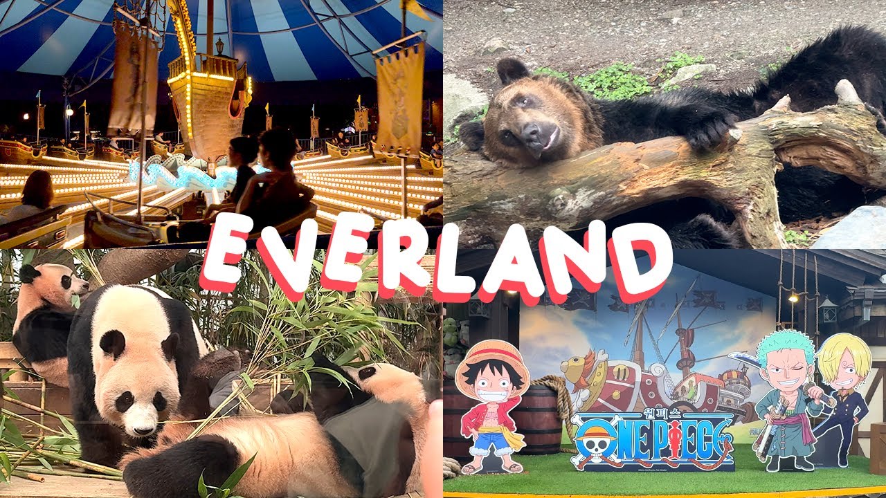 A Day at Everland Korea | Theme Park, Rides, Zoo, Pandas, One Piece, & Travel