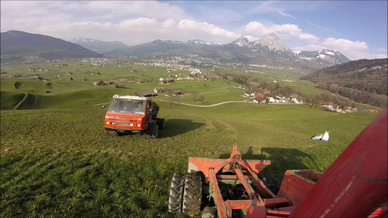 Reform Muli Frühling 2016