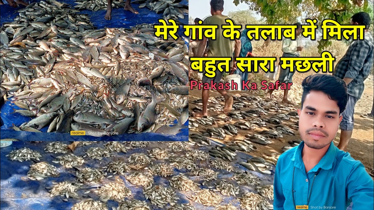 मेरे गांव के तलाब में मिला बहुत सारा मछली 🐬 Prakash Ka Safar || Machhali Vlog Video || Chhattisgarh 