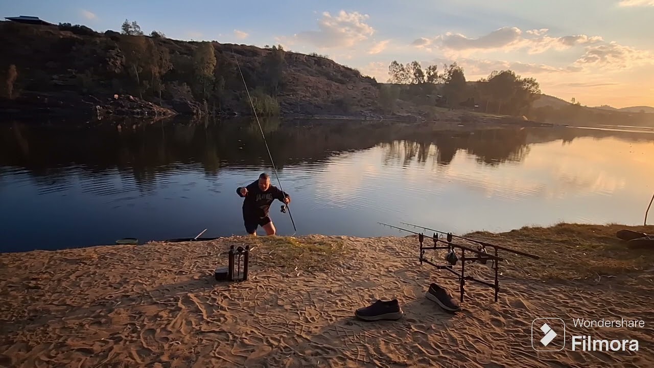 Carp Fishing , Vlammies Resort Vaalriver