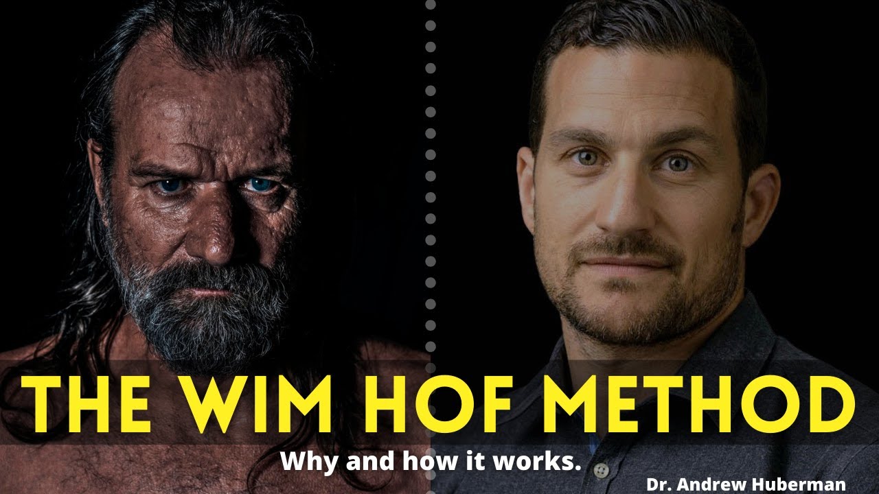 The Science Behind The Wim Hof Method - Dr. Andrew Huberman