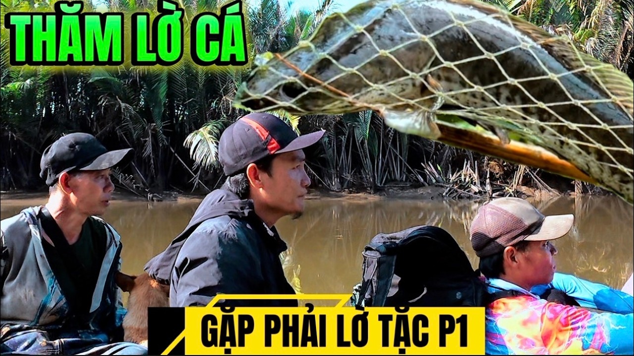SĂN TÌM CÁ CỤ BẰNG LỜ KHÔNG MỒI GẶP PHẢI LỜ TẶC CÁI KẾT P1.